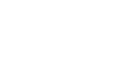 BRYZA