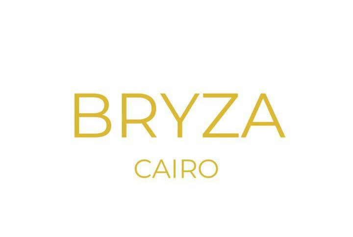 BRYZA